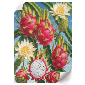 Wydruk na płótnie Egzotyka natury