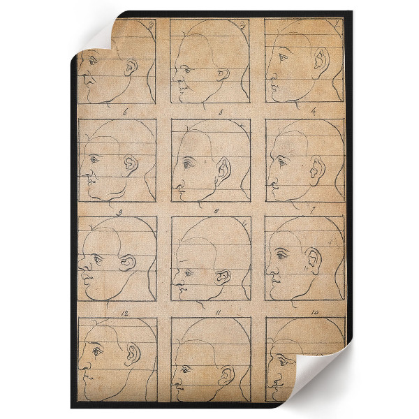 Grafika na ścianę Dwanaście profili