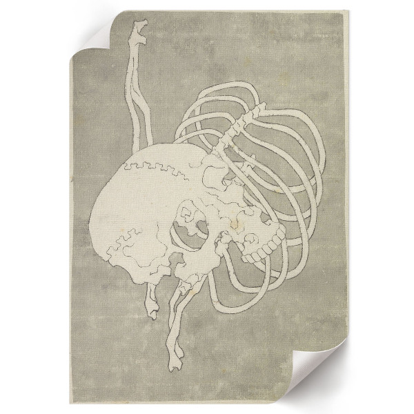 Plakat premium Czaszka