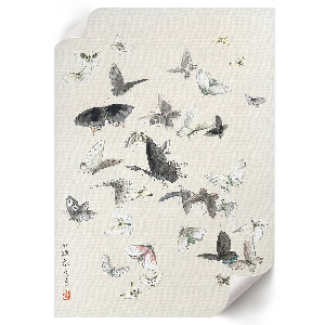 Grafika na ścianę Motyle i ćmy