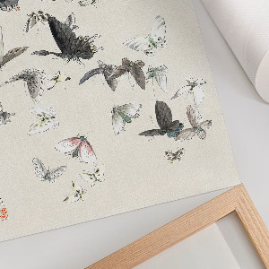 Grafika na ścianę Motyle i ćmy