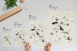 Grafika na ścianę Motyle i ćmy