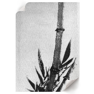 Wydruk na płótnie Bambus