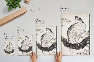 Dekoracyjny plakat ścienny Ptak