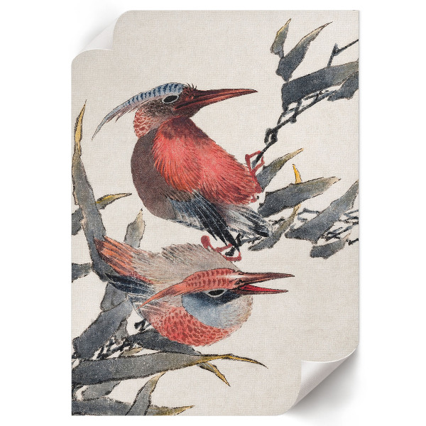 Grafika na ścianę Ptaki