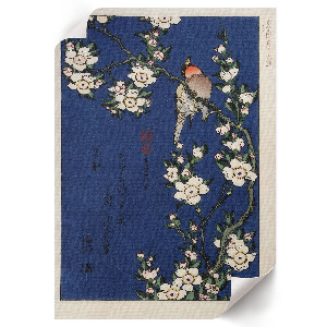 Dekoracyjny plakat ścienny Rudzik na gałęzi