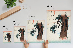 Wydruk na płótnie Sosna japońska