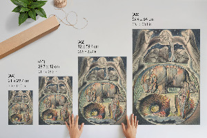 Plakat premium Behemoth i Lewiatan