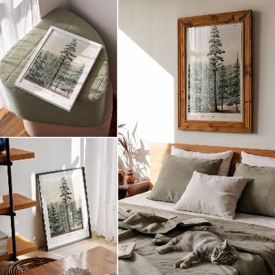 Plakat premium Wellingtonia
