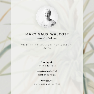 Grafika na ścianę Dziki ananas