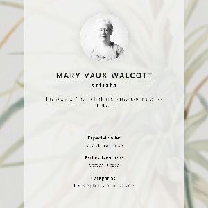 Grafika na ścianę Dziki ananas