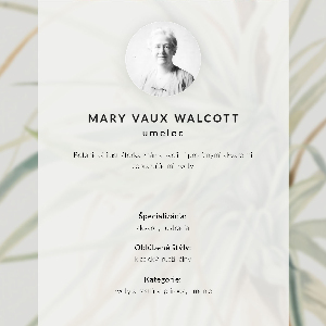 Grafika na ścianę Dziki ananas