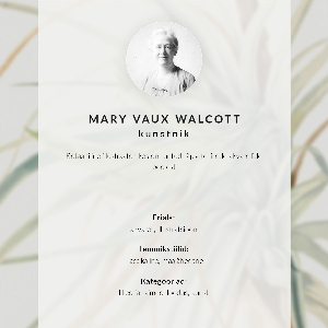 Grafika na ścianę Dziki ananas