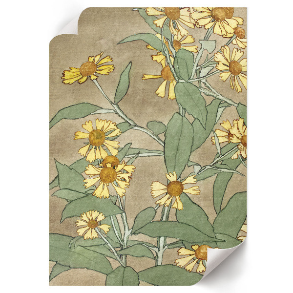 Wydruk na płótnie Stokrotki