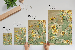 Wydruk na płótnie Stokrotki