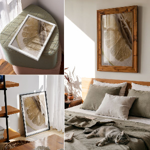 Dekoracyjny plakat ścienny Cytrusowy owoc