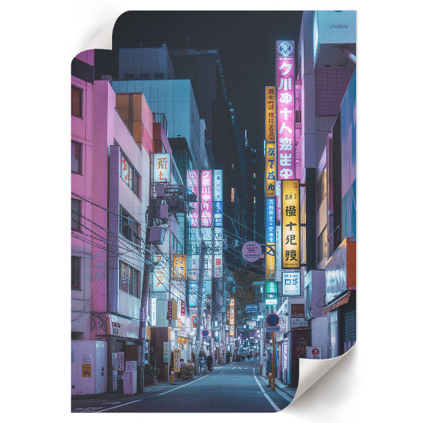 Wydruk na płótnie Uliczka w Japonii