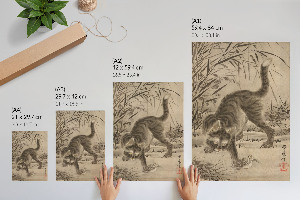 Plakat premium Kot łapiący żabę