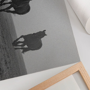 Plakat Konie w biegu