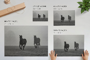 Plakat Konie w biegu