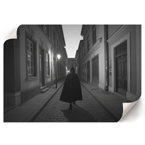 Plakat Czarno-biały widok