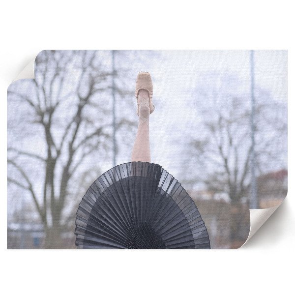 Plakat na ścianę Elegancki balet