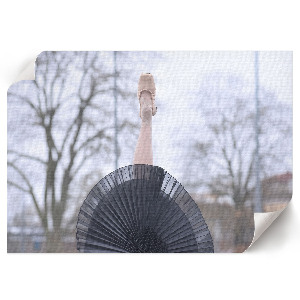 Plakat na ścianę Elegancki balet