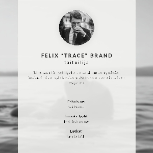 Plakat dekoracyjny Sowa w locie