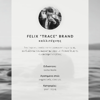 Plakat dekoracyjny „Sowa w locie”