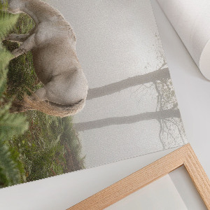 Plakat na płótnie Koń w lesie