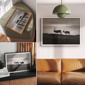 Plakat Renifery natura