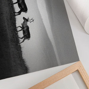 Plakat Renifery natura