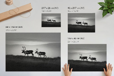 Plakat z motywem reniferów w naturalnej kolorystyce