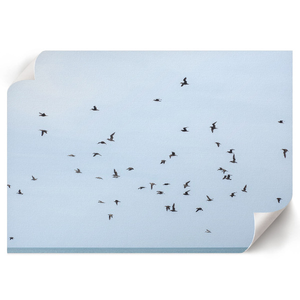 Plakat na płótnie Ptaki w locie