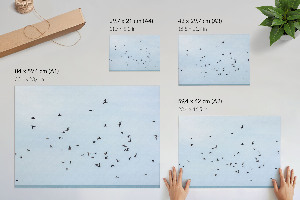 Plakat na płótnie Ptaki w locie