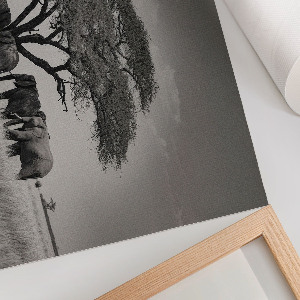 Plakat na płótnie Afrykańska sawanna