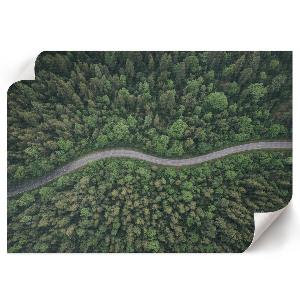 Plakat na ścianę Leśna droga