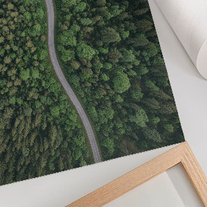 Plakat na ścianę Leśna droga