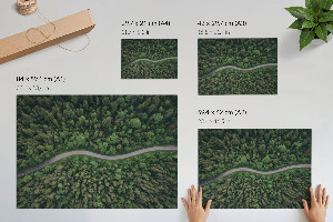 Plakat na ścianę Leśna droga