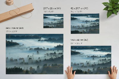 Plakat dekoracyjny „Mglista przyroda”