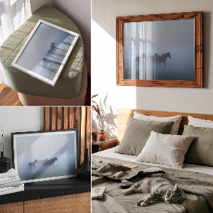 Plakat Galopujące konie