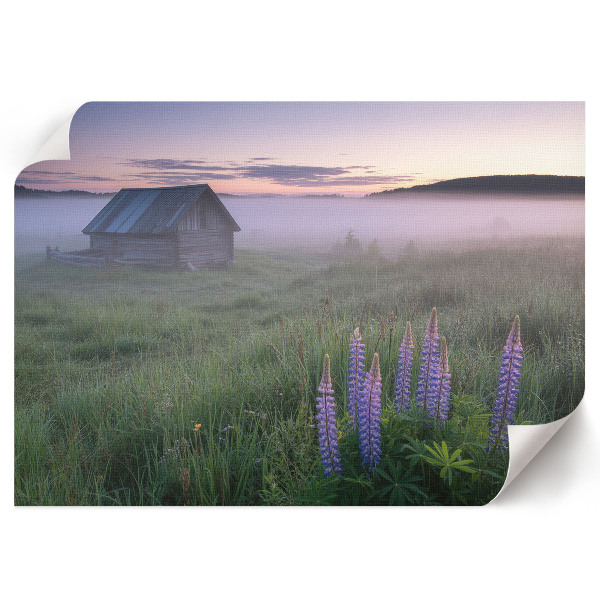 Plakat Mgielny poranek