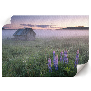 Plakat Mgielny poranek