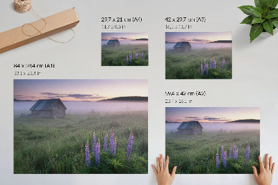 Plakat „Mgielny poranek”