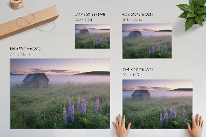 Plakat Mgielny poranek