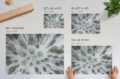 Plakat przedstawiający zimowy las