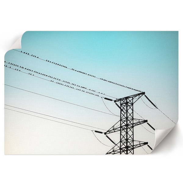 Plakat dekoracyjny Ptaki na przewodach