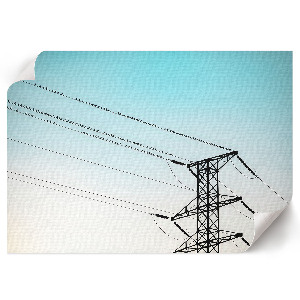 Plakat dekoracyjny Ptaki na przewodach