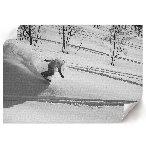 Plakat na płótnie Biała przygoda