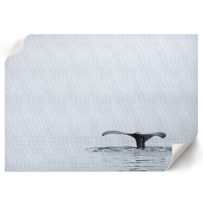Plakat na ścianę „Oceaniczny spokój”